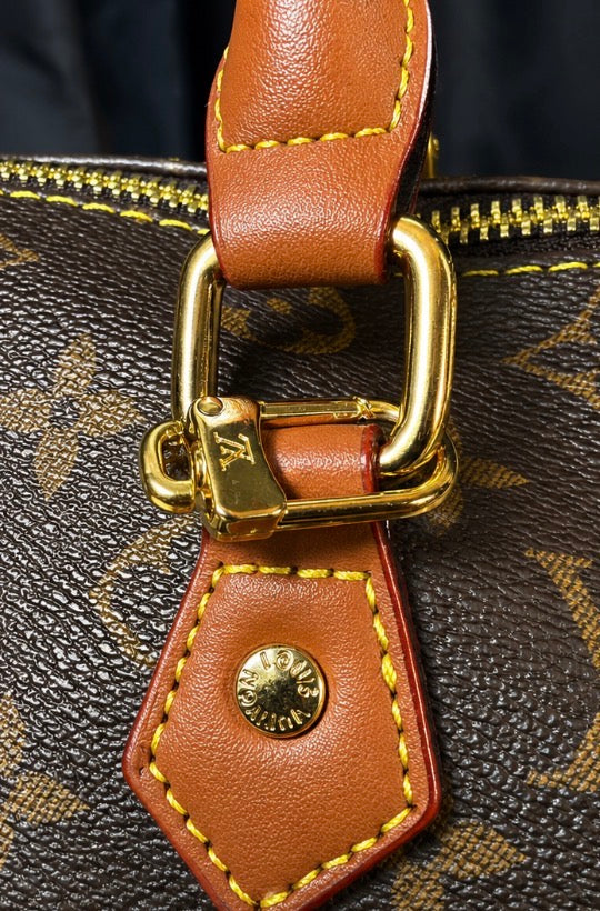 LV Monogram Speedy Style Bag 🤎✨